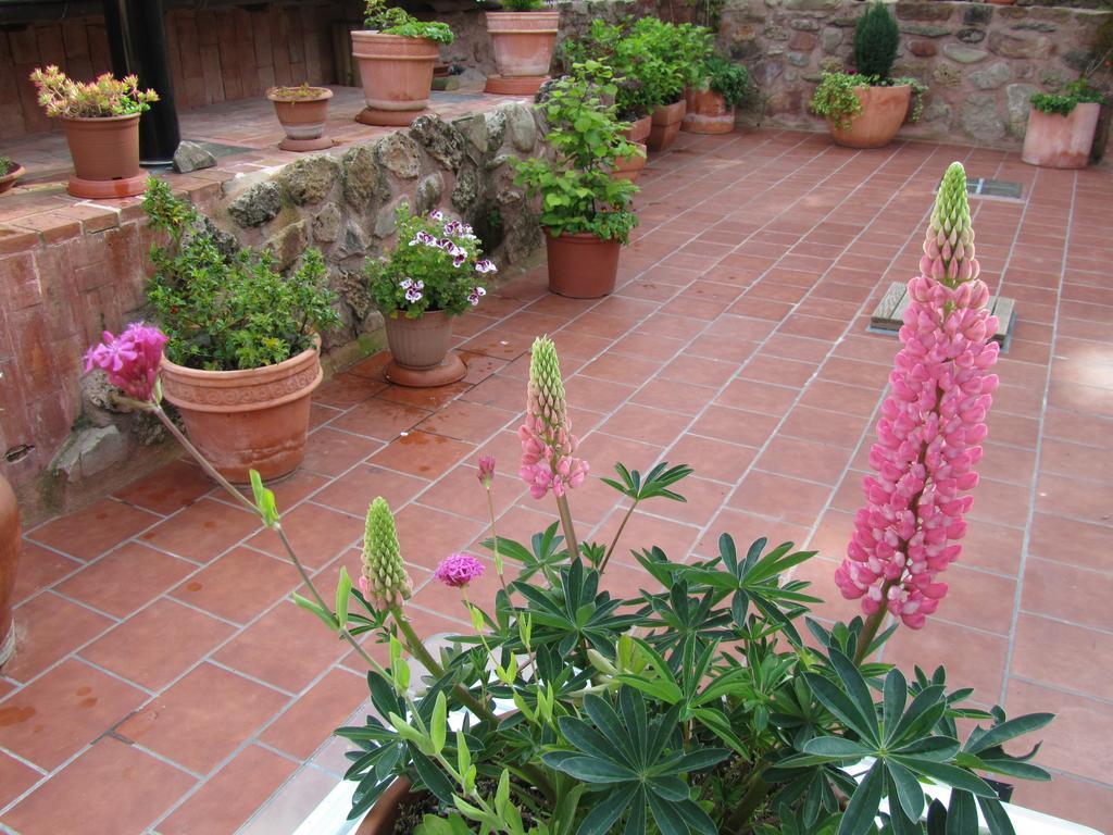 Villa Casa de Montaña La Solana de Turza Exterior foto